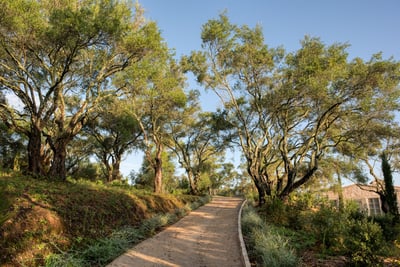 Luxury Villa Photo #13