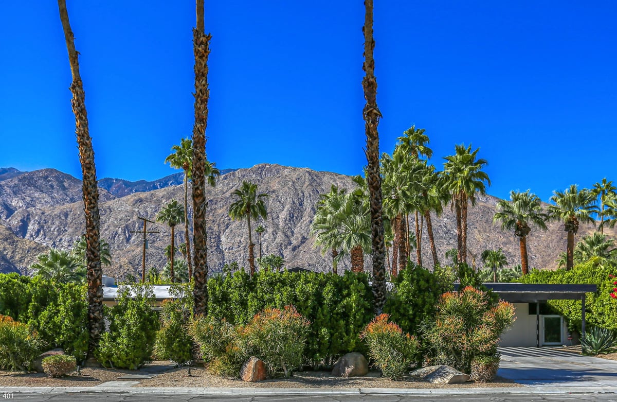 Mountain View Modern