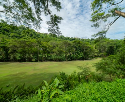 Luxury Villa Photo #8