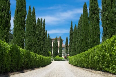 Luxury Villa Photo #3