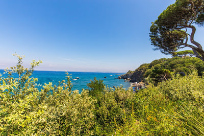 Luxury Villa Photo #13
