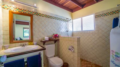 Luxury Villa Photo #43