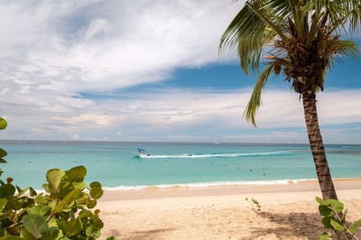 Luxury Villa Photo #12