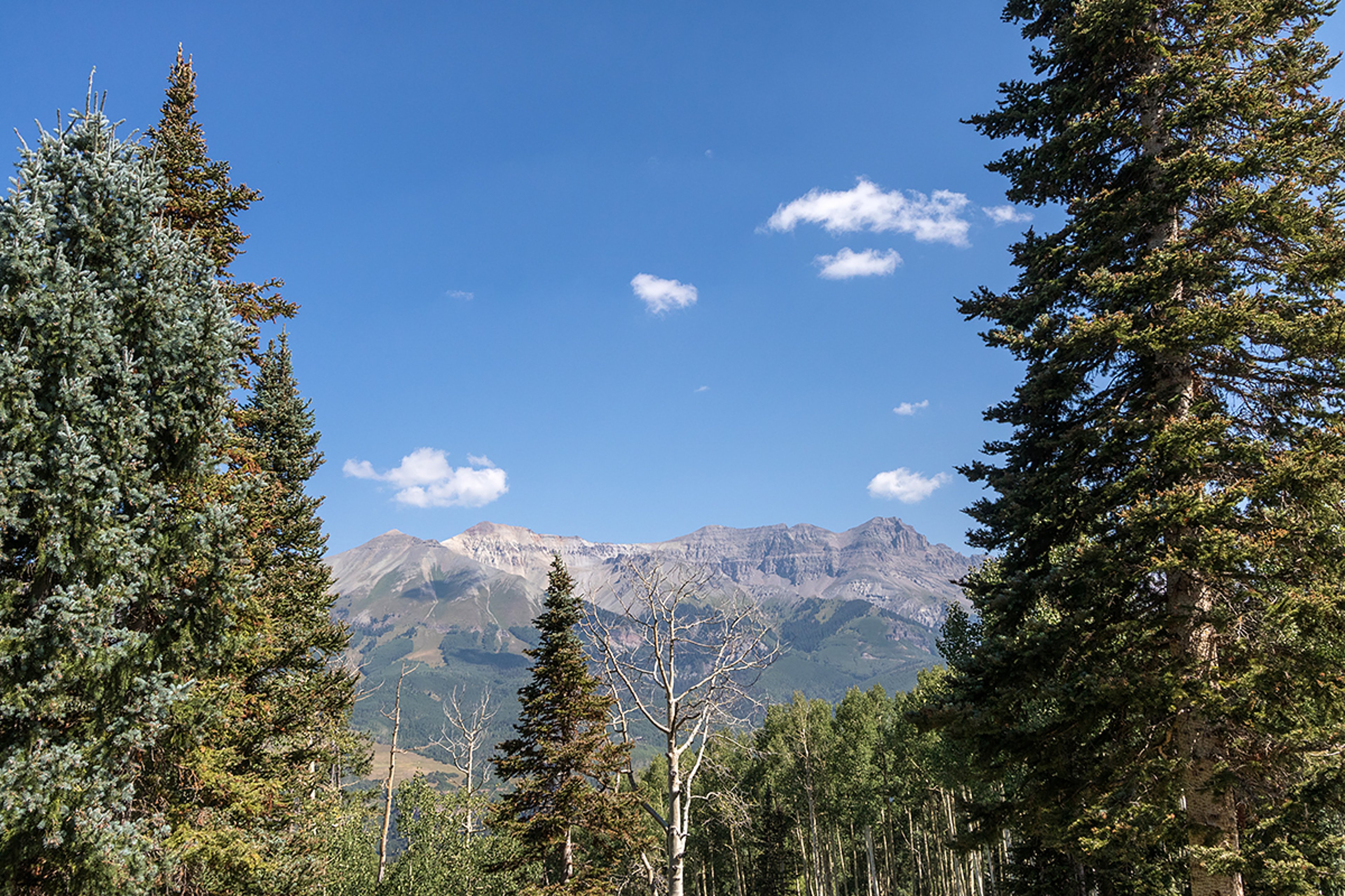 Alpen Ridge - 62