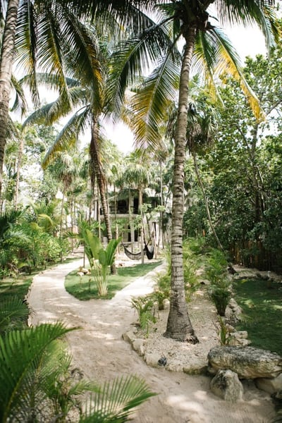 Luxury Villa Photo #7