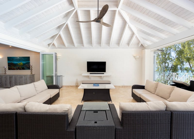 Old Trees 302 | La Mirage