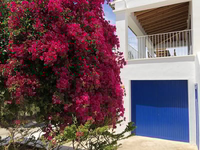 Luxury Villa Photo #11