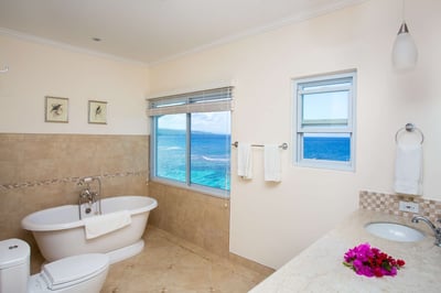 Luxury Villa Photo #39