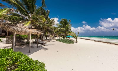 Luxury Villa Photo #5