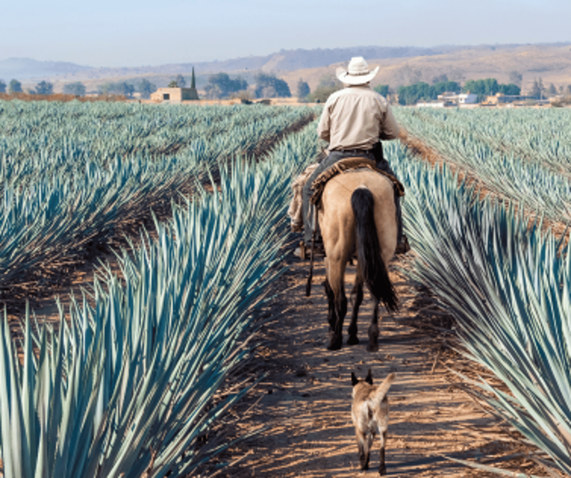 Jalisco