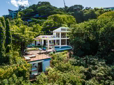 Welcome to the jungle!