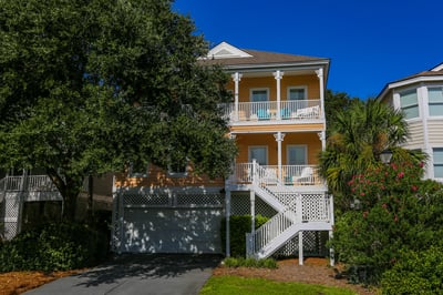 Isle of Palms,Driftwood
