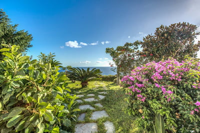 Luxury Villa Photo #11