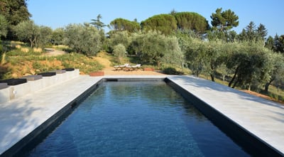 Luxury Villa Photo #3
