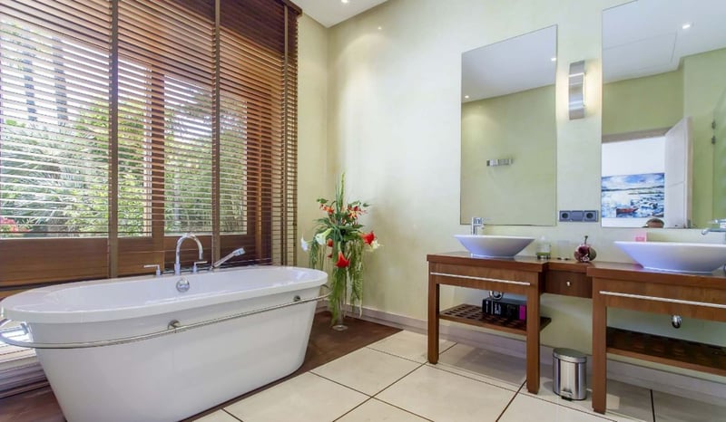 Palmeras de Mallorca