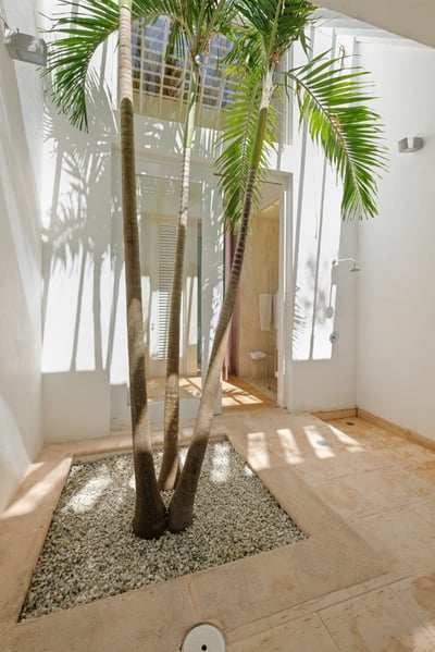Luxury Villa Photo #41