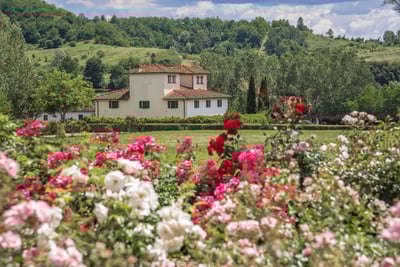 Luxury Villa Photo #5