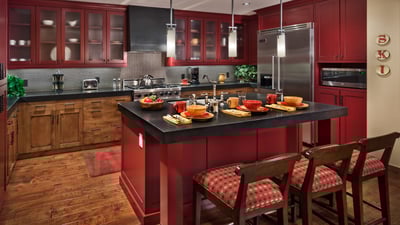 Gourmet kitchen