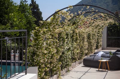 Luxury Villa Photo #14