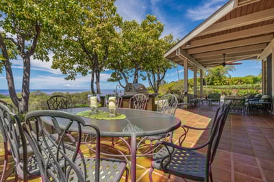 Luxury Villa Photo #8