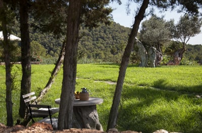 Luxury Villa Photo #18