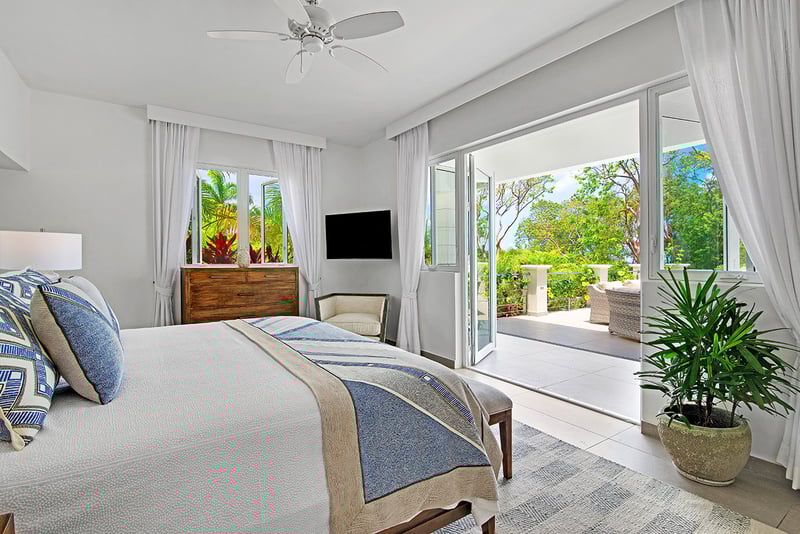 BougainVilla on Spring Farm