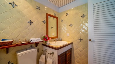 Luxury Villa Photo #37