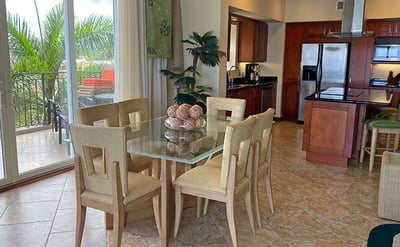 Luxury Villa Photo #4