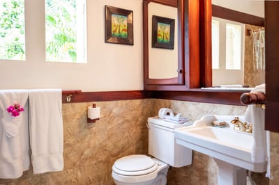 Luxury Villa Photo #33