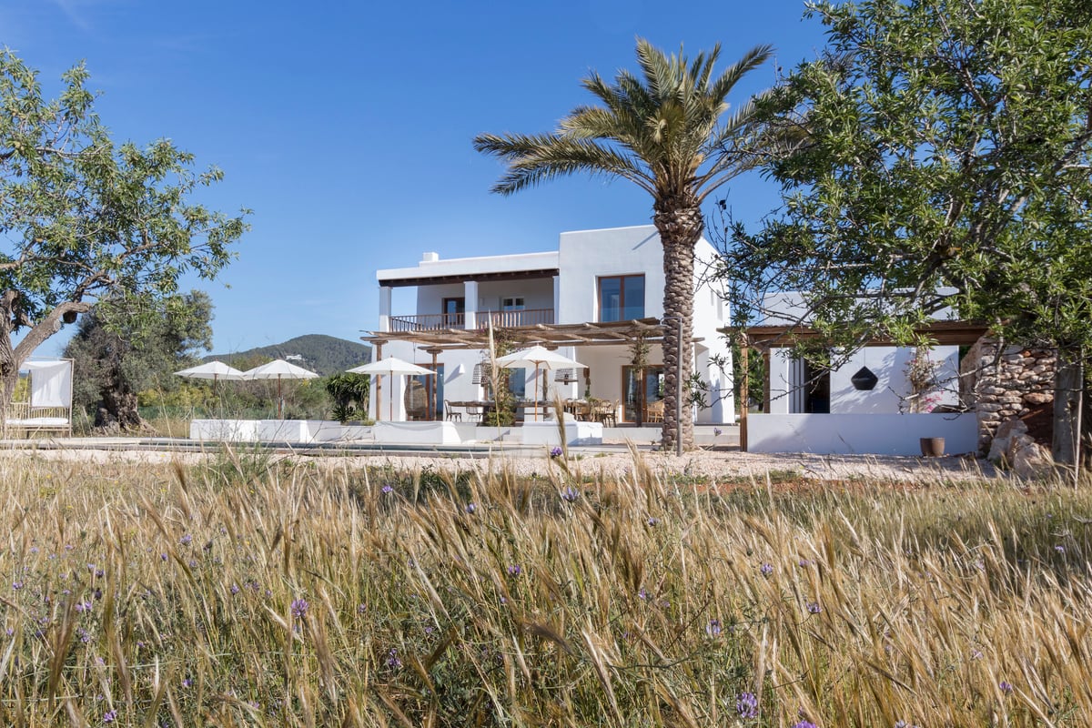 Paloma Blanca