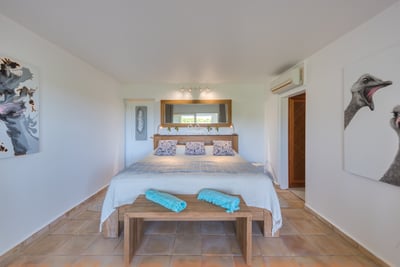 Luxury Villa Photo #50