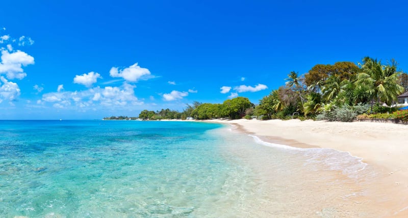 Emerald Beach 5 | Aspicia