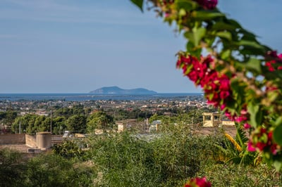 Luxury Villa Photo #10