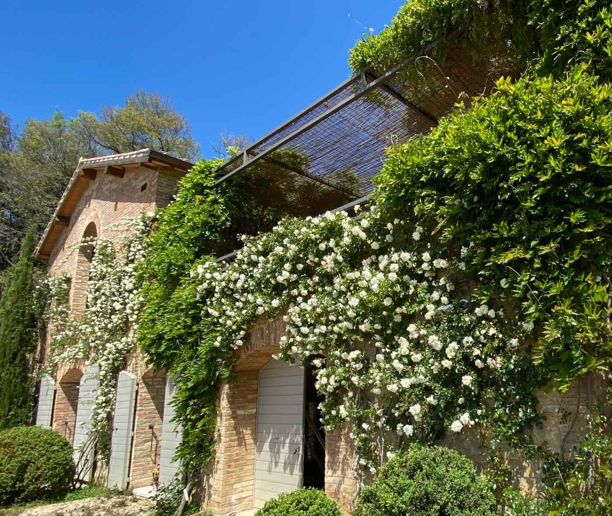 Hortus villa rental in Siena - 39
