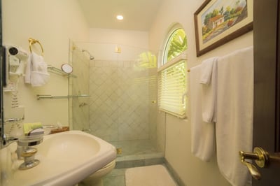 Luxury Villa Photo #39