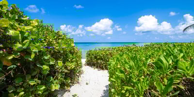 Luxury Villa Photo #49