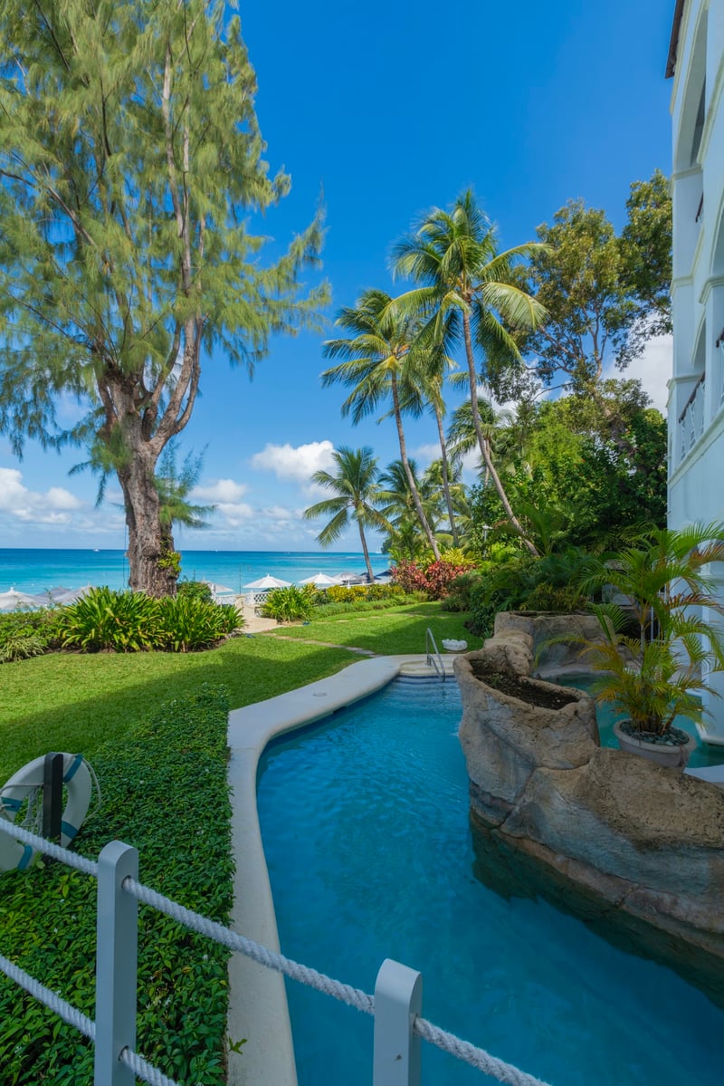 Sea Breeze at Old Trees