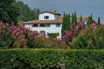 Luxury Villa Photo #3
