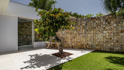 Luxury Villa Photo #45