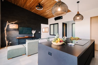 Penthouse Level | Living Area