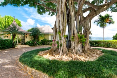 Luxury Villa Photo #34