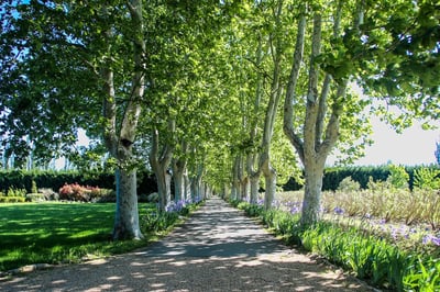 Luxury Villa Photo #15