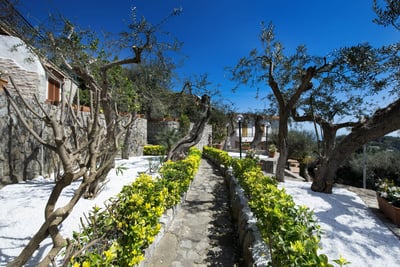 Luxury Villa Photo #8