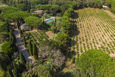 Luxury Villa Photo #22