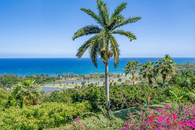 Luxury Villa Photo #31