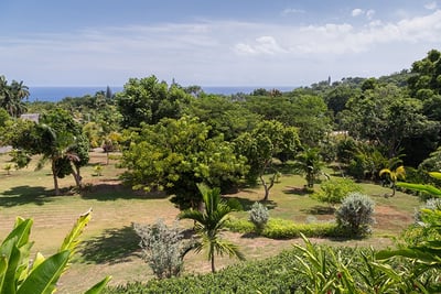 Luxury Villa Photo #24