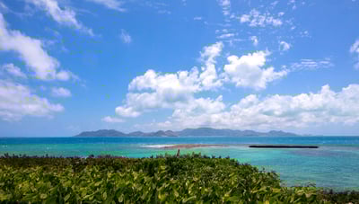 Luxury Villa Photo #24