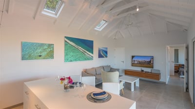 Luxury Villa Photo #9