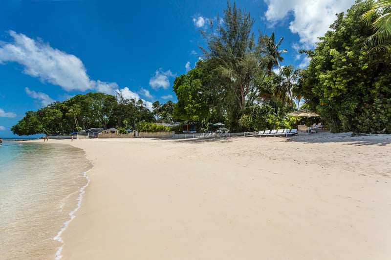 Bluff House and Cottage