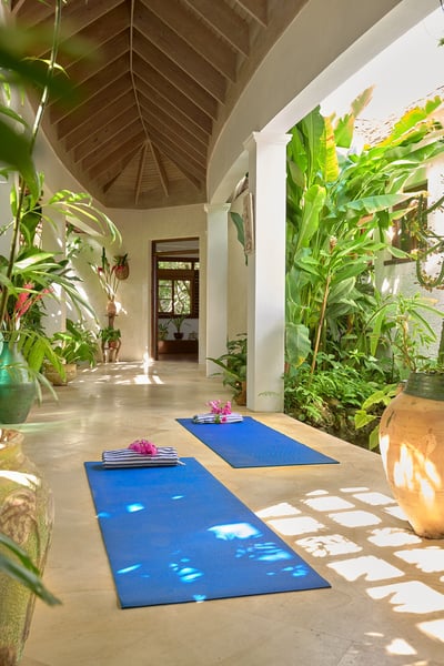 Luxury Villa Photo #46